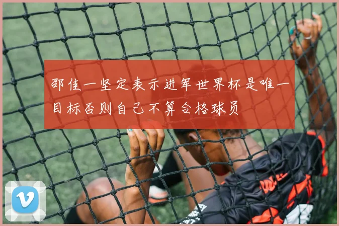 邵佳一坚定表示进军世界杯是唯一目标否则自己不算合格球员