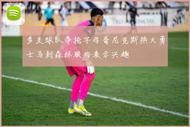 多支球队争抢字母哥尼克斯热火勇士马刺森林狼均表示兴趣