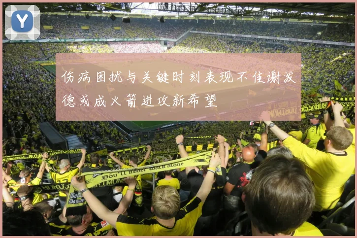 伤病困扰与关键时刻表现不佳谢泼德或成火箭进攻新希望