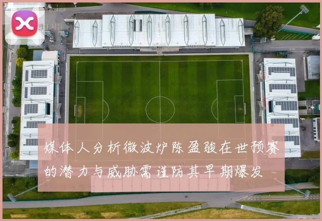媒体人分析微波炉陈盈骏在世预赛的潜力与威胁需谨防其早期爆发